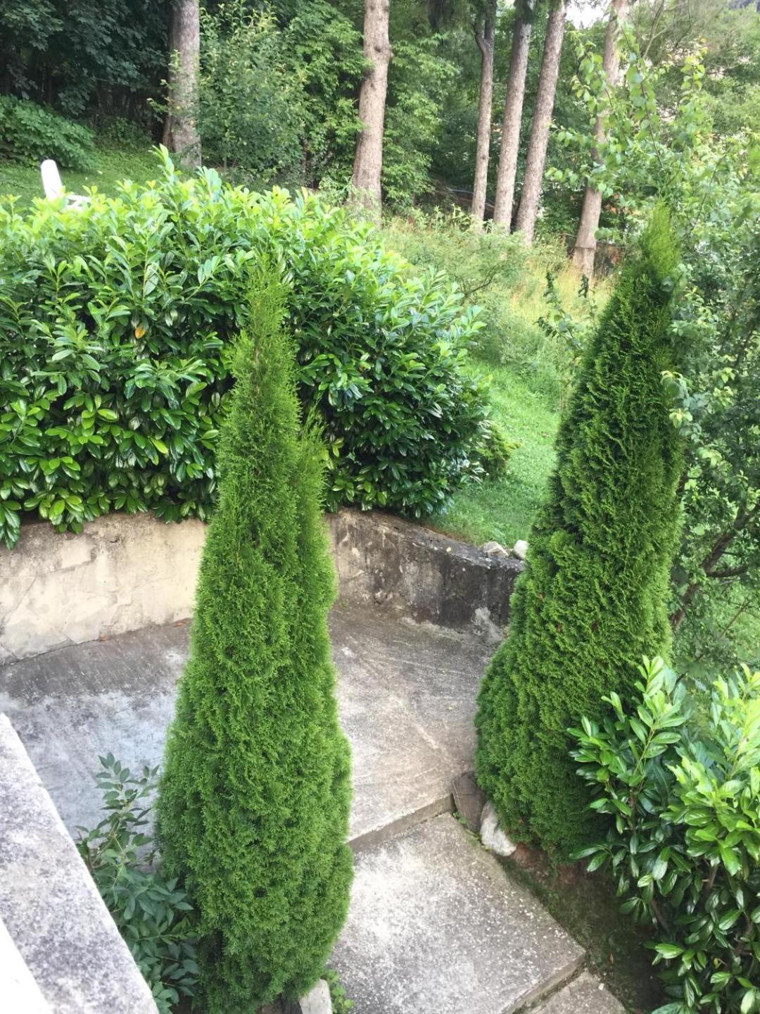 Il Piccolo Castello 부스테니 외부 사진
